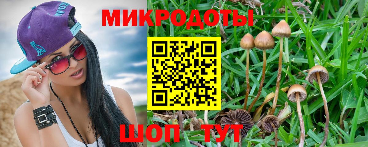 Псилоцибиновые грибы GOLDEN TEACHER  Вход с VPN  Галлюциногенные грибы мицелий  Медногорск 