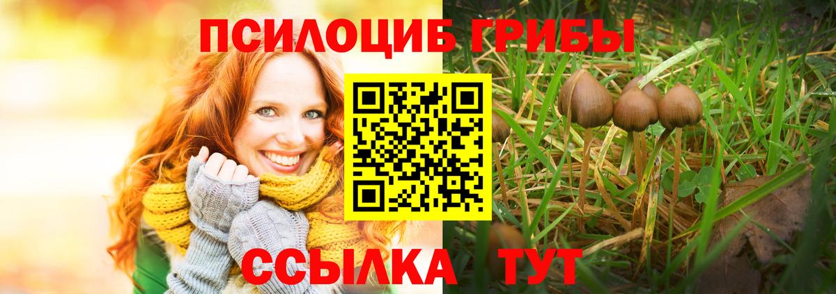 Псилоцибиновые грибы GOLDEN TEACHER Медногорск